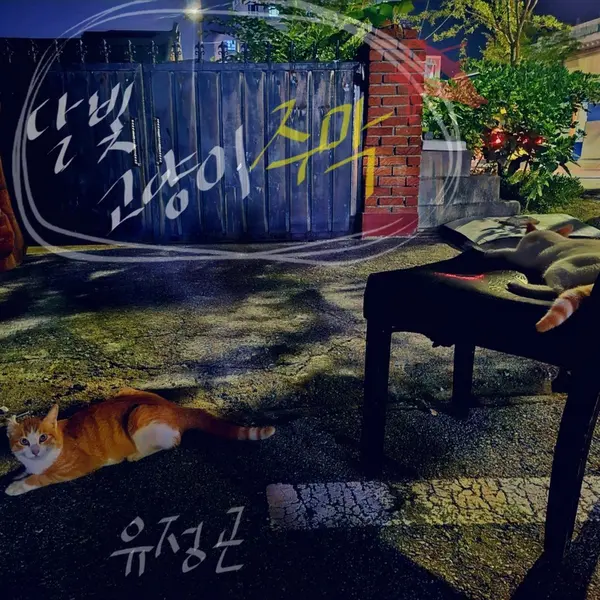 달빛고양이주막 앨범 표지