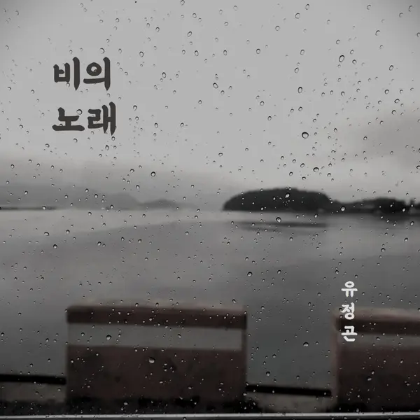 비의 노래 앨범 표지
